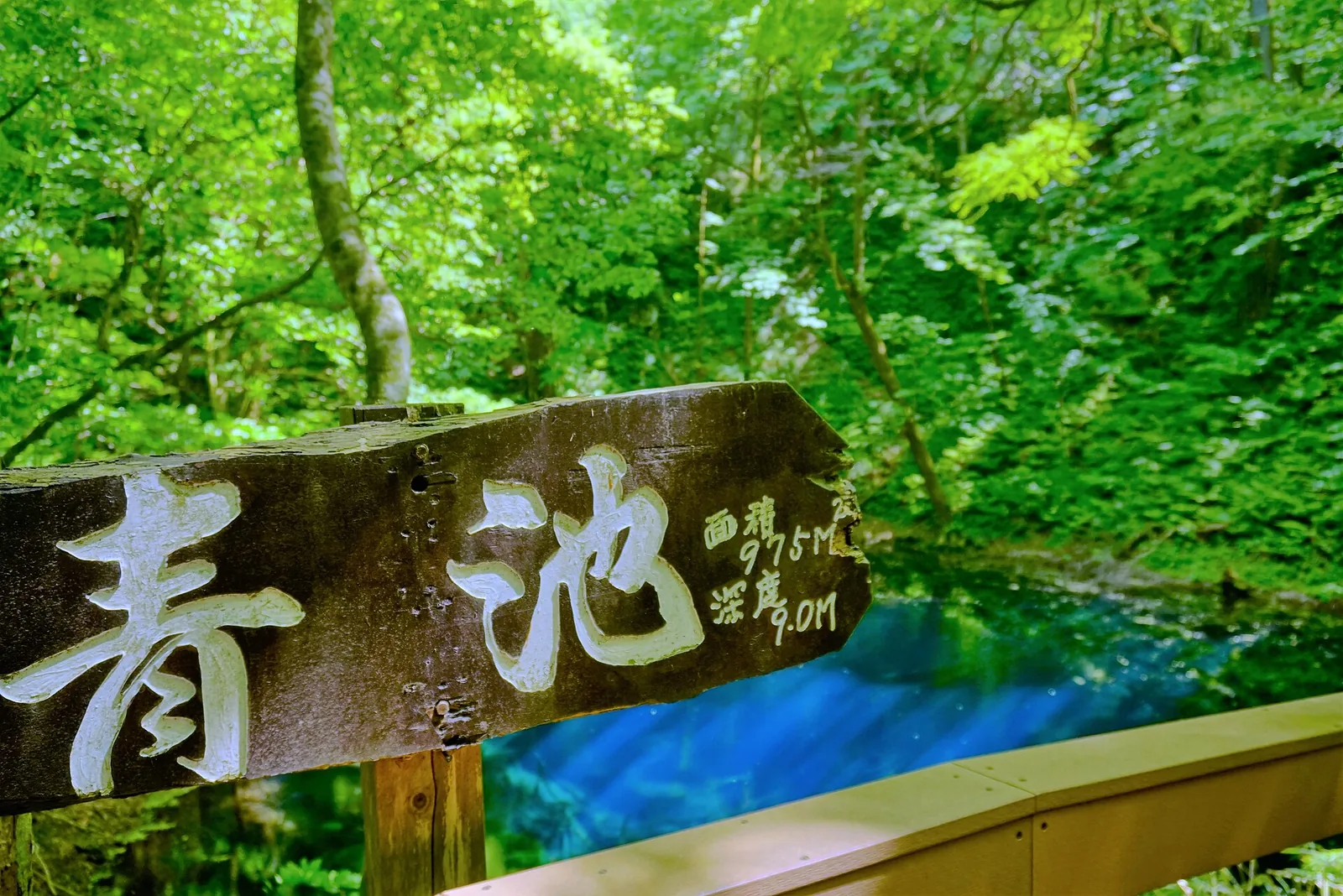 十二湖青池湛藍池水與森林實景