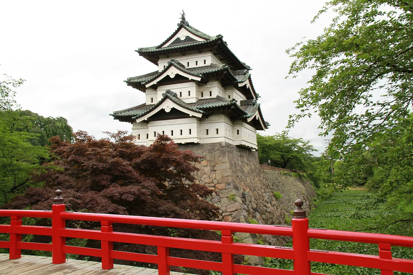 綠樹環繞的弘前城天守實景